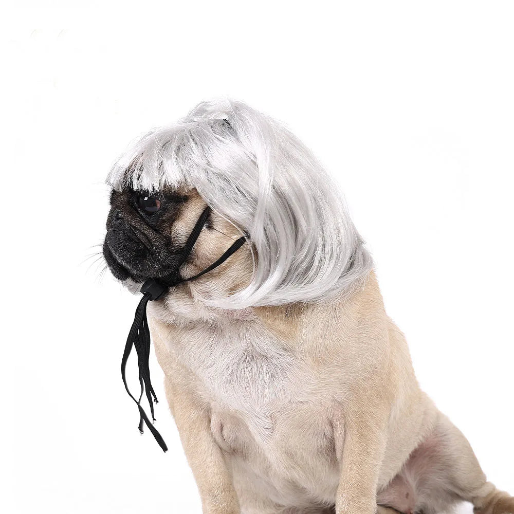 Cute Funny Pet Wig Adjustable Elastic Band Design Cat Wig Dog Wig Pet Cosplay Props Photography Prank Gifts