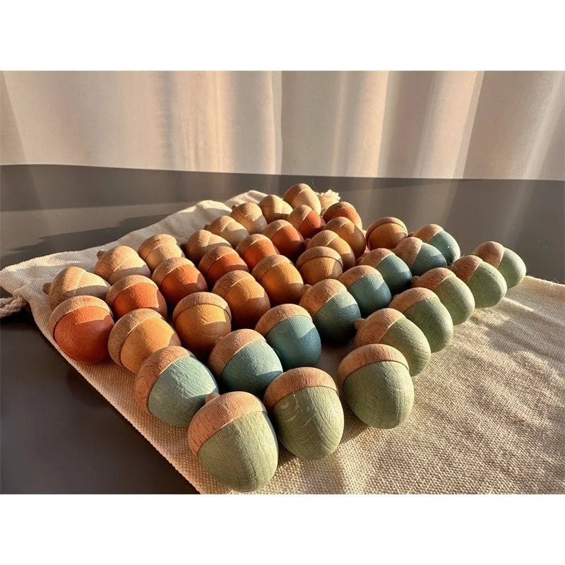 Rainbow Wooden  Blocks Loose Parts Toys Pastel Beech Acorns for Kids Open-end Play