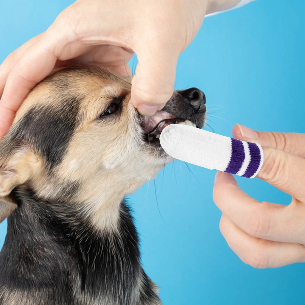 6Pcs Pet Finger Toothbrush Soft Nylon for Cats Dogs Dental Plaque Remover Teeth Cleaning Fresh Breath Suitable All Sizes