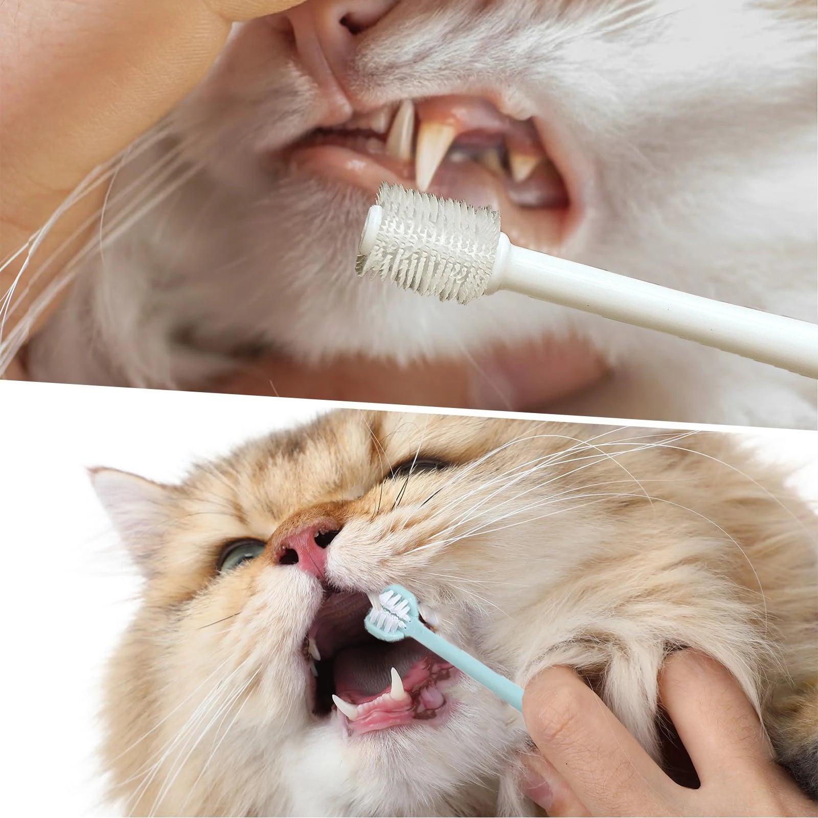 Dog & Cat Toothbrush Kit Triple Head and 360 Degree Pet Tooth Brushes Multi-Angle Dental Cleaning Brushes with 2 Storage Box for