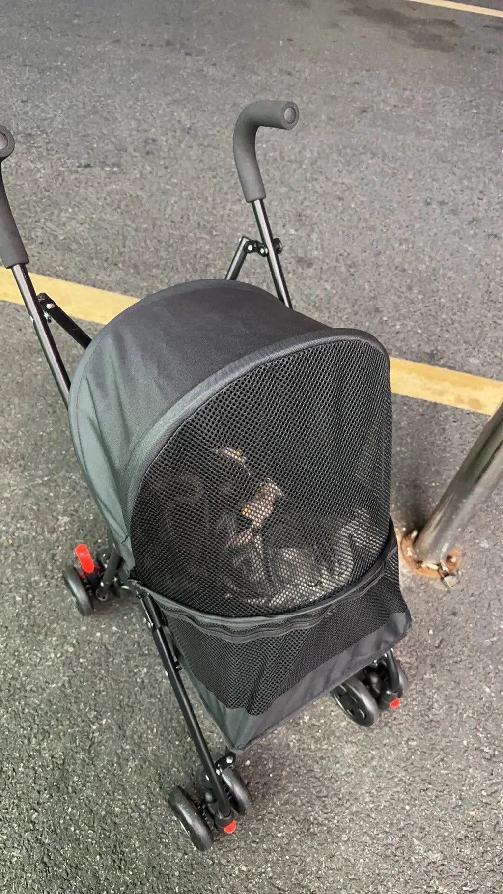 Cool Mesh Pet Stroller for Small Dogs and Cats Lightweight Suitable for All Road with Removable Liner Safety Tether Easyto Store