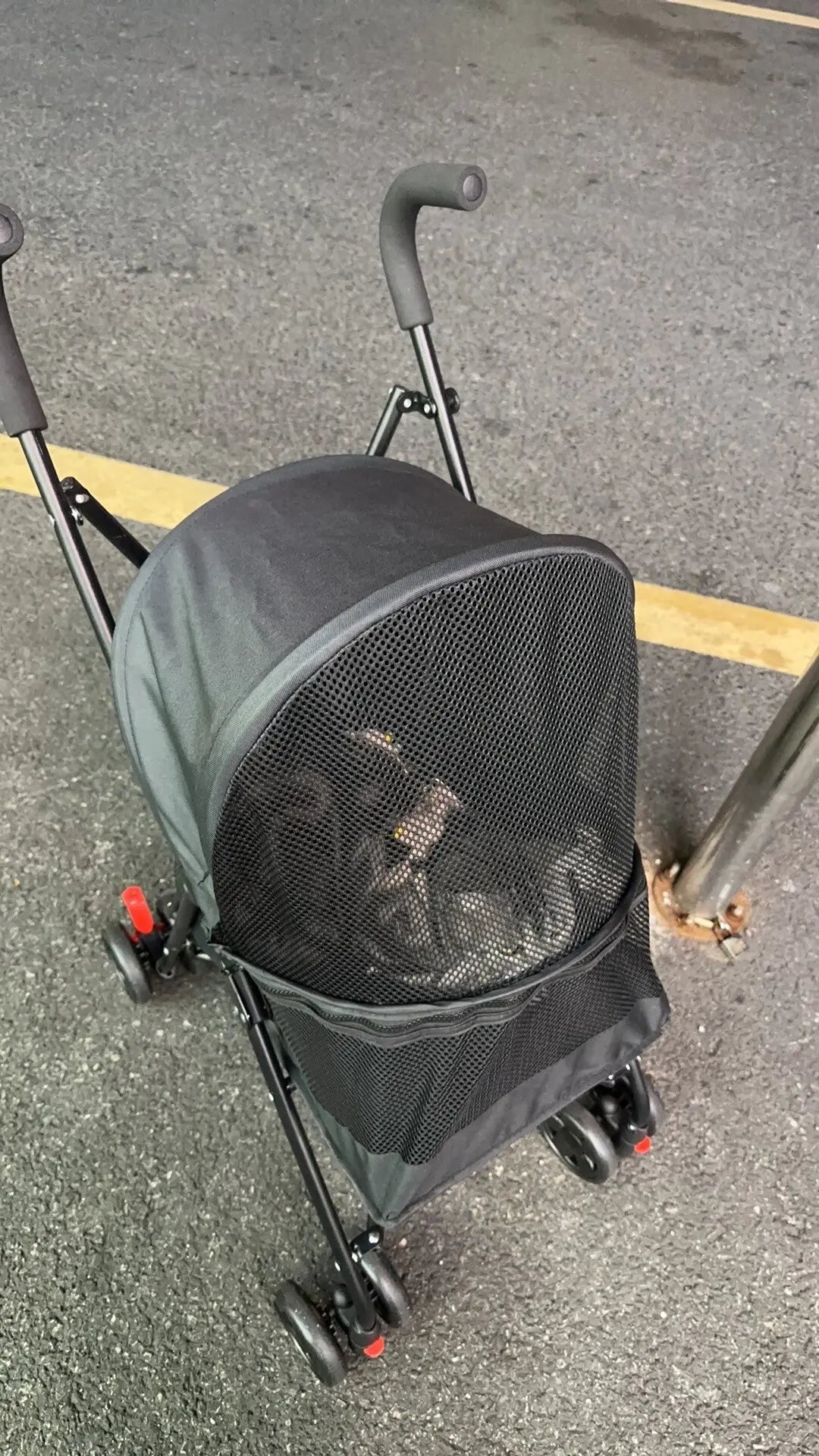 Cool Mesh Pet Stroller for Small Dogs and Cats Lightweight Suitable for All Road with Removable Liner Safety Tether Easyto Store