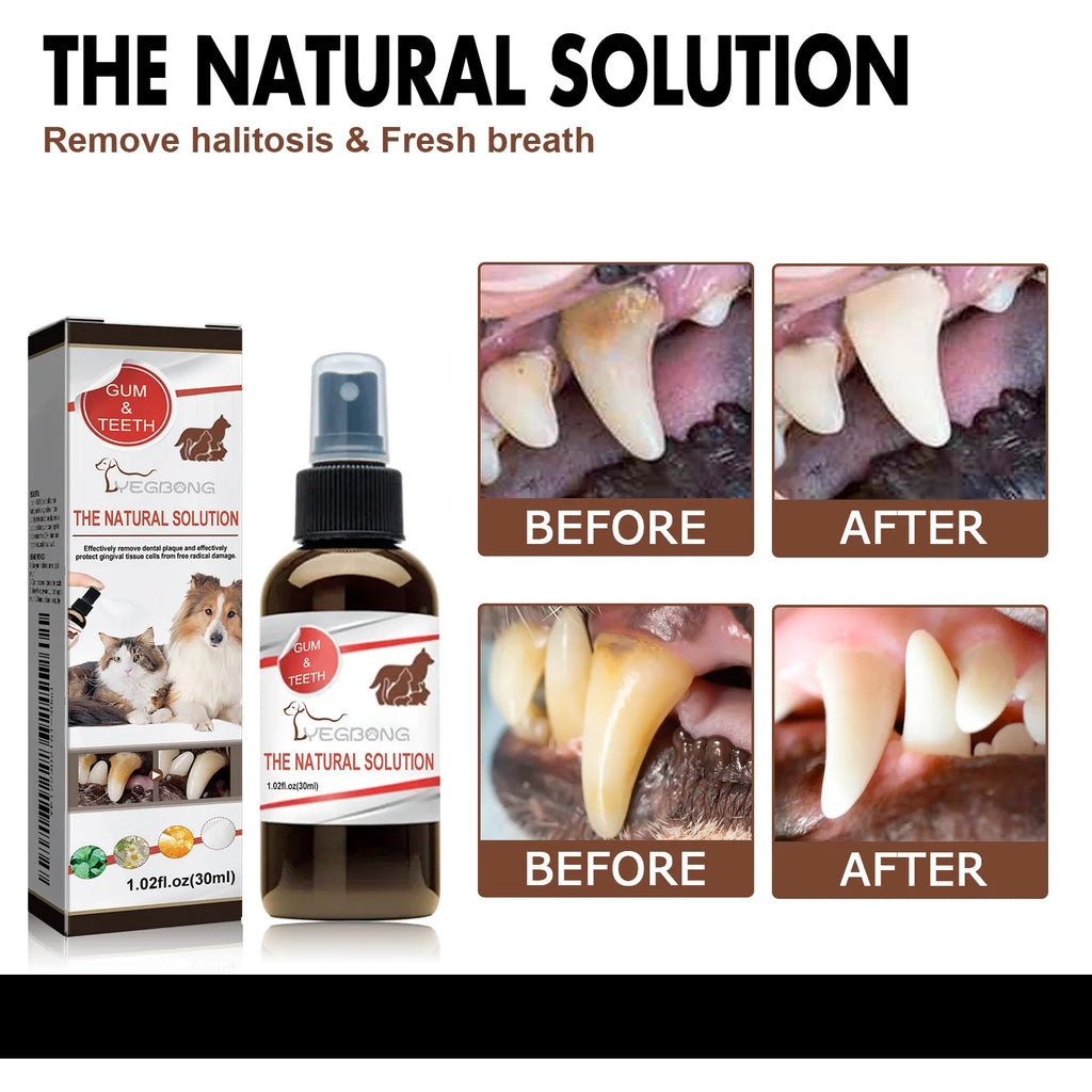 Pet Dental Care Spray for Dogs Cats Bad Breath Eliminator Hygiene Spray Tartar Plaque Control Fresh Breath Natural Formula 30ml