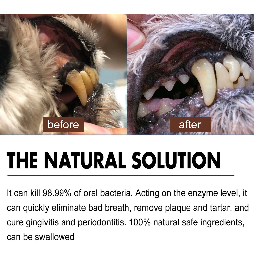 Pet Dental Care Spray for Dogs Cats Bad Breath Eliminator Hygiene Spray Tartar Plaque Control Fresh Breath Natural Formula 30ml