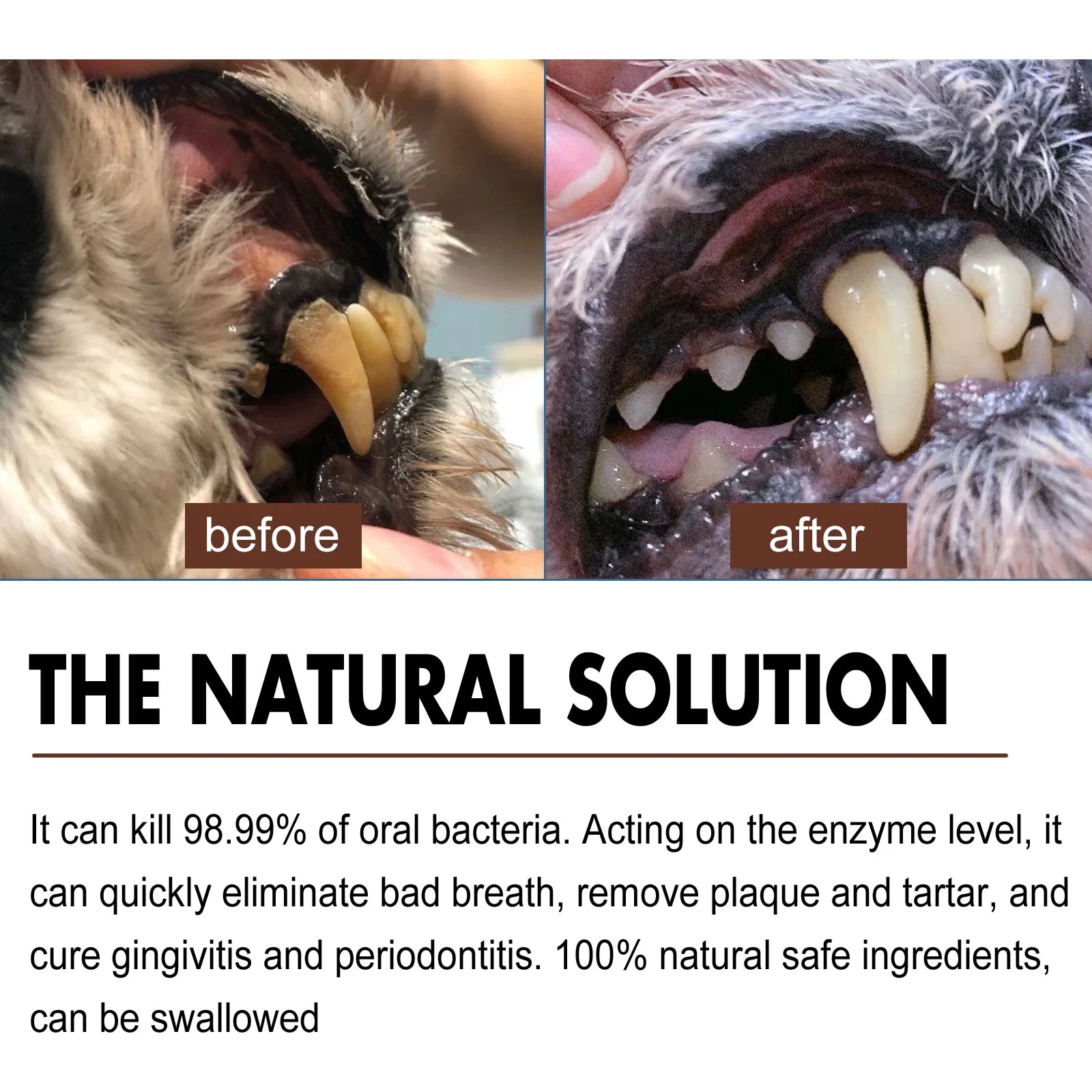 Pet Dental Care Spray for Dogs Cats Bad Breath Eliminator Hygiene Spray Tartar Plaque Control Fresh Breath Natural Formula 30ml