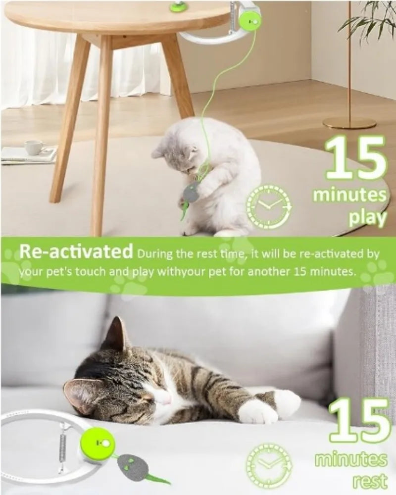 Cat Toys Swing Sticky Disc Elastic Hanging Door Teasing Cat Rope Long Rope Teasing Cat Cat Toy Cat Accessories Pet Kitten Toy