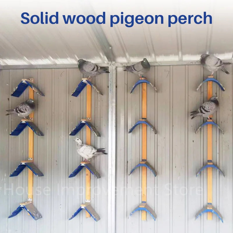 5/10/20PCS Pigeon Dove Bird House Parrots Plastic Rest Stand Frame Dwelling Perch Shellhard Bird Supplies