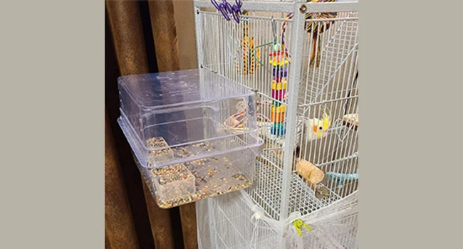 Colorday Large Fully Transparent Bird Bath for Cage, Parrot Shower for Birds Bathtub Swimming Pool Box Supplies Accessories