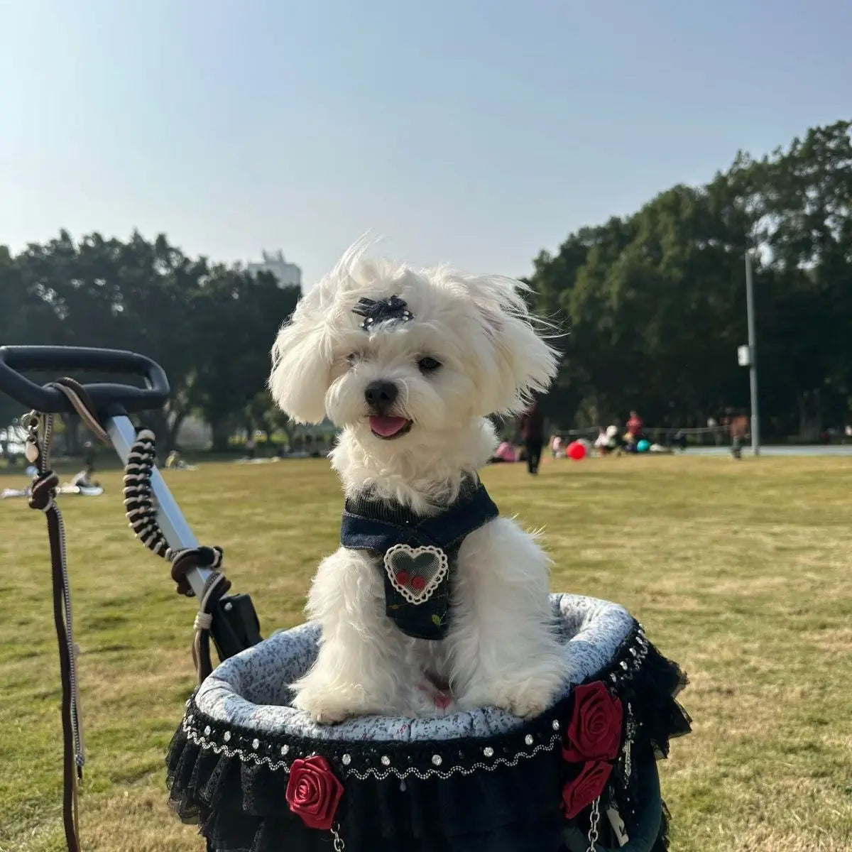 2026 SUMMER Pet Stroller with Complimentary MaT for Small 10 Lbs Dogs & Cats Lightweight Foldable Design One-clickFolding  Brake