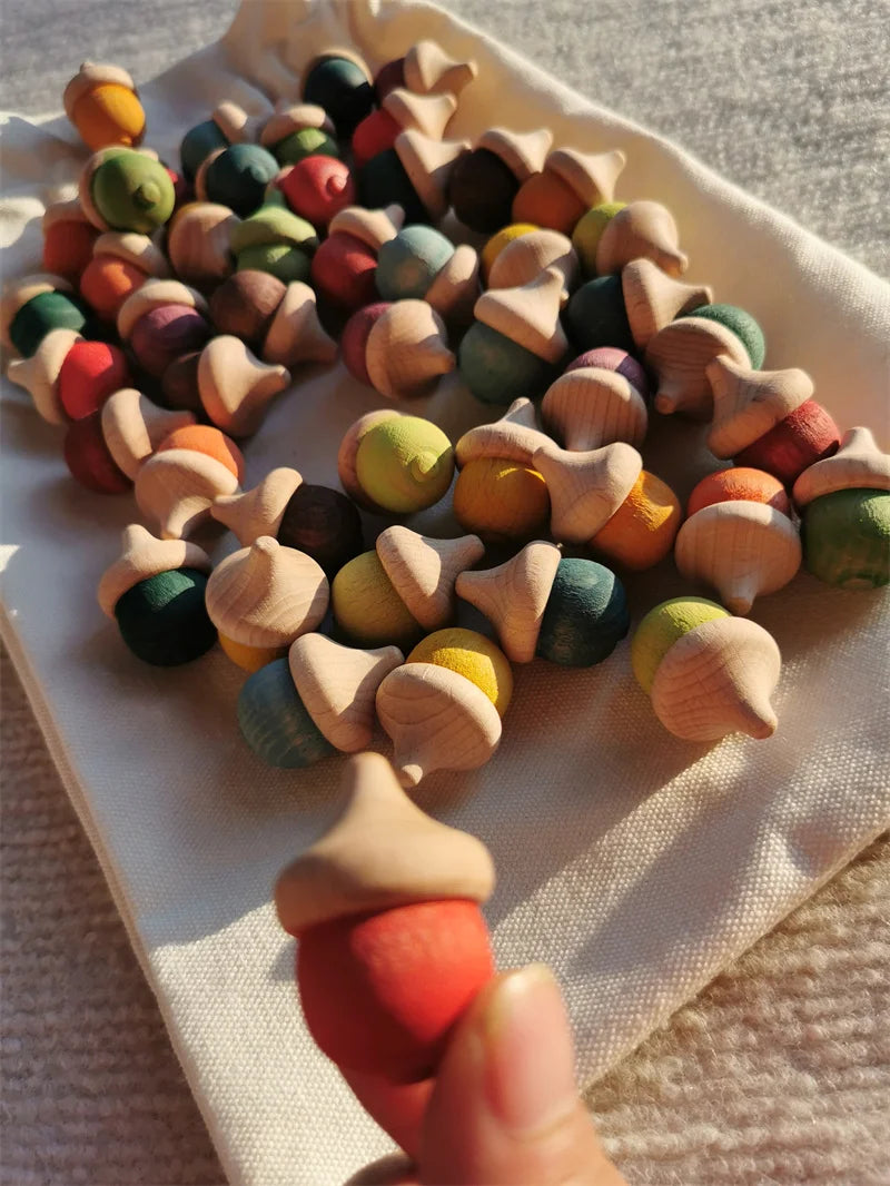 Rainbow Wooden  Blocks Loose Parts Toys Pastel Beech Acorns for Kids Open-end Play