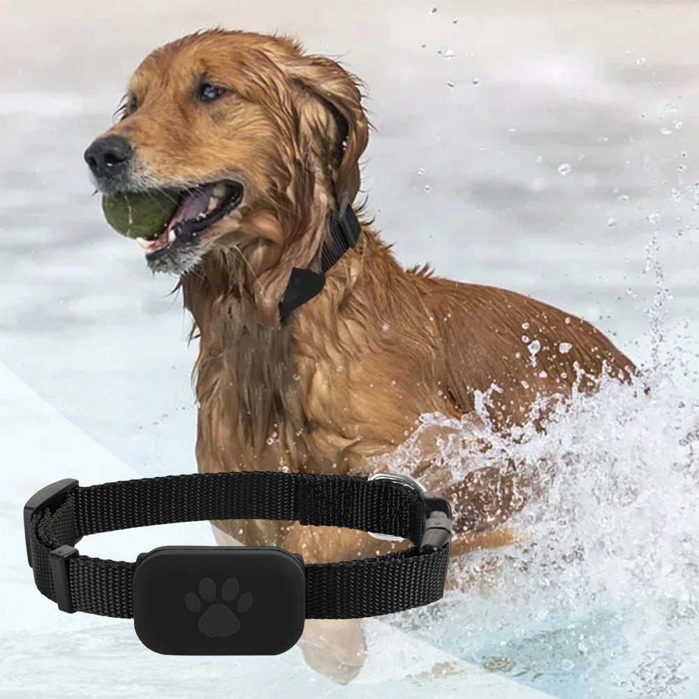 Pet GPS Tracker with Adjustable Collar Dog Tracker Smart Pet Locator for Dogs & Cats