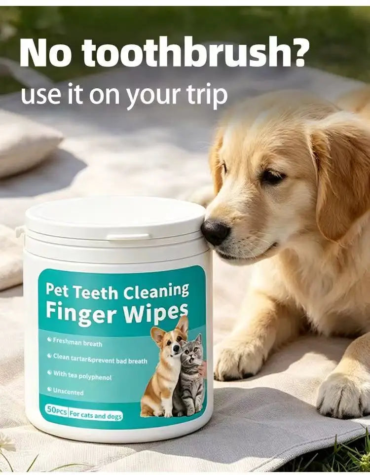 Dry Cracked Paw Repair Wipes Pet Cleaning Kit Hydrating Moisturizing Soothing Foot Care Wet Wipes for Dog Cat Sensitive Skin
