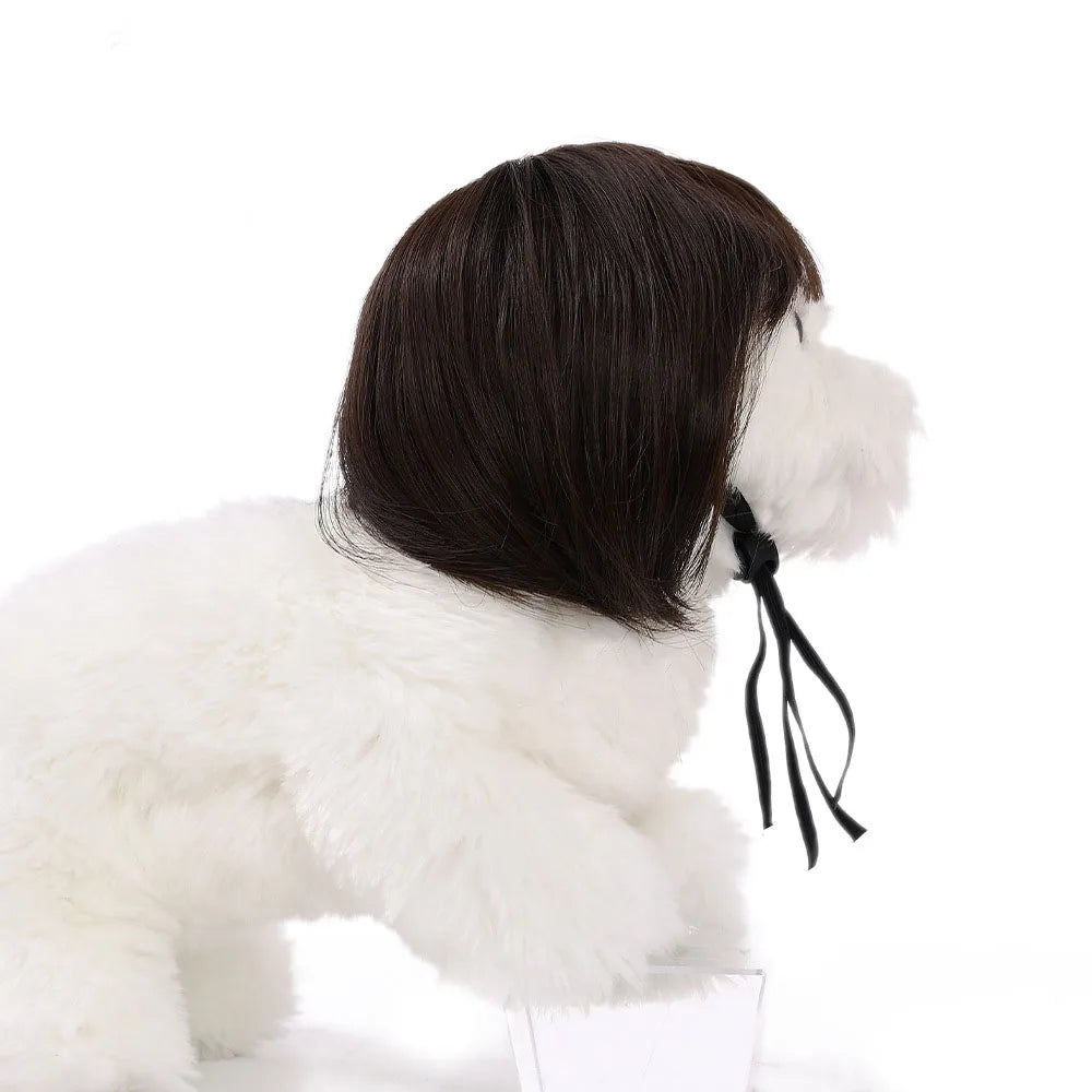 Cute Funny Pet Wig Adjustable Elastic Band Design Cat Wig Dog Wig Pet Cosplay Props Photography Prank Gifts
