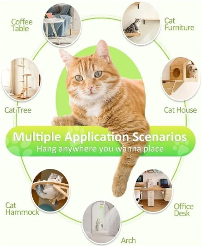 Cat Toys Swing Sticky Disc Elastic Hanging Door Teasing Cat Rope Long Rope Teasing Cat Cat Toy Cat Accessories Pet Kitten Toy