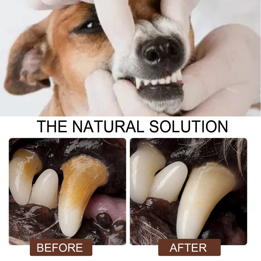 Pet Dental Care Spray for Dogs Cats Bad Breath Eliminator Hygiene Spray Tartar Plaque Control Fresh Breath Natural Formula 30ml