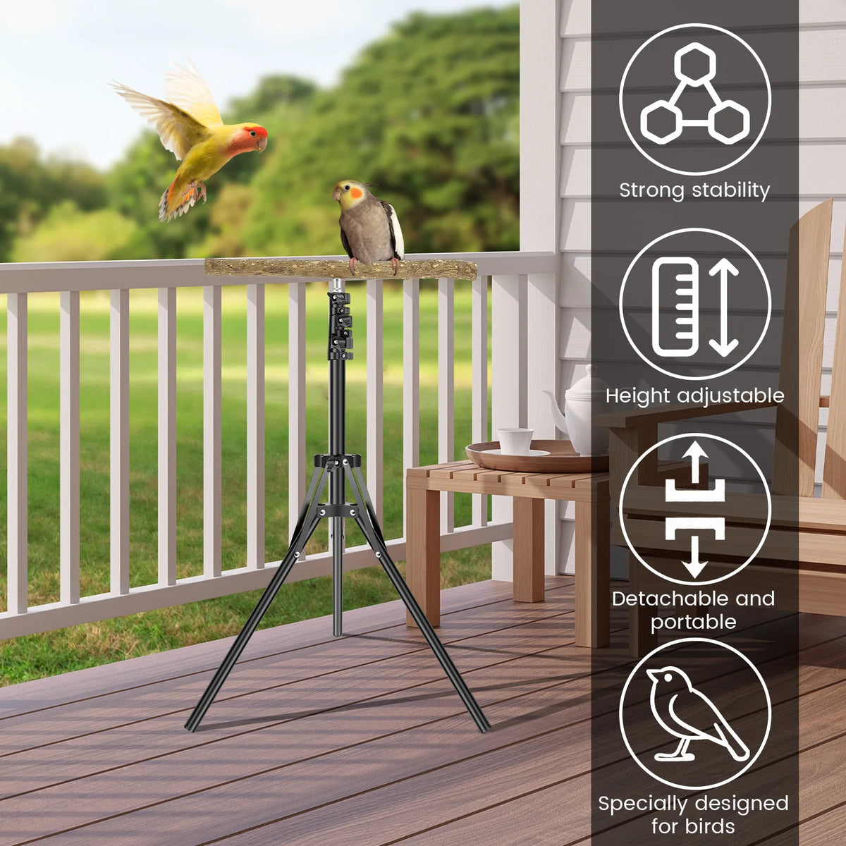 Wood Bird Branch Stand Height Adjustable Foldable Parrot Bird Training Perch Pet Bird Toy Portable Outdoor Perches Platform