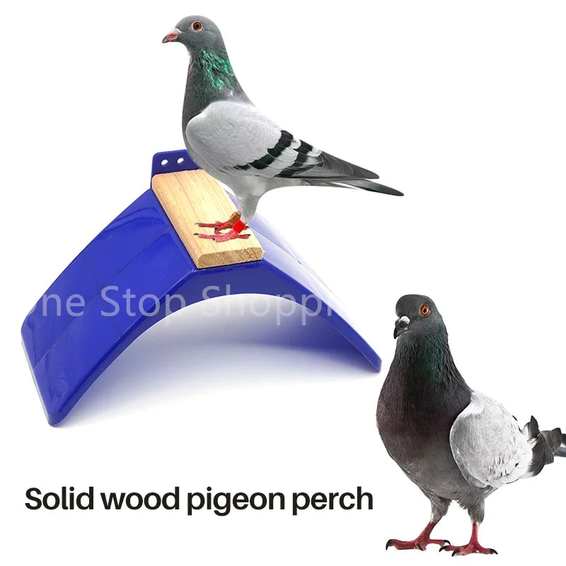 5/10/20PCS Plastic Pigeon Perch Dove Rest Stand Frame Pigeon Perches Roost for Bird Supplies Blue Pigeon Parrots House Dwelling