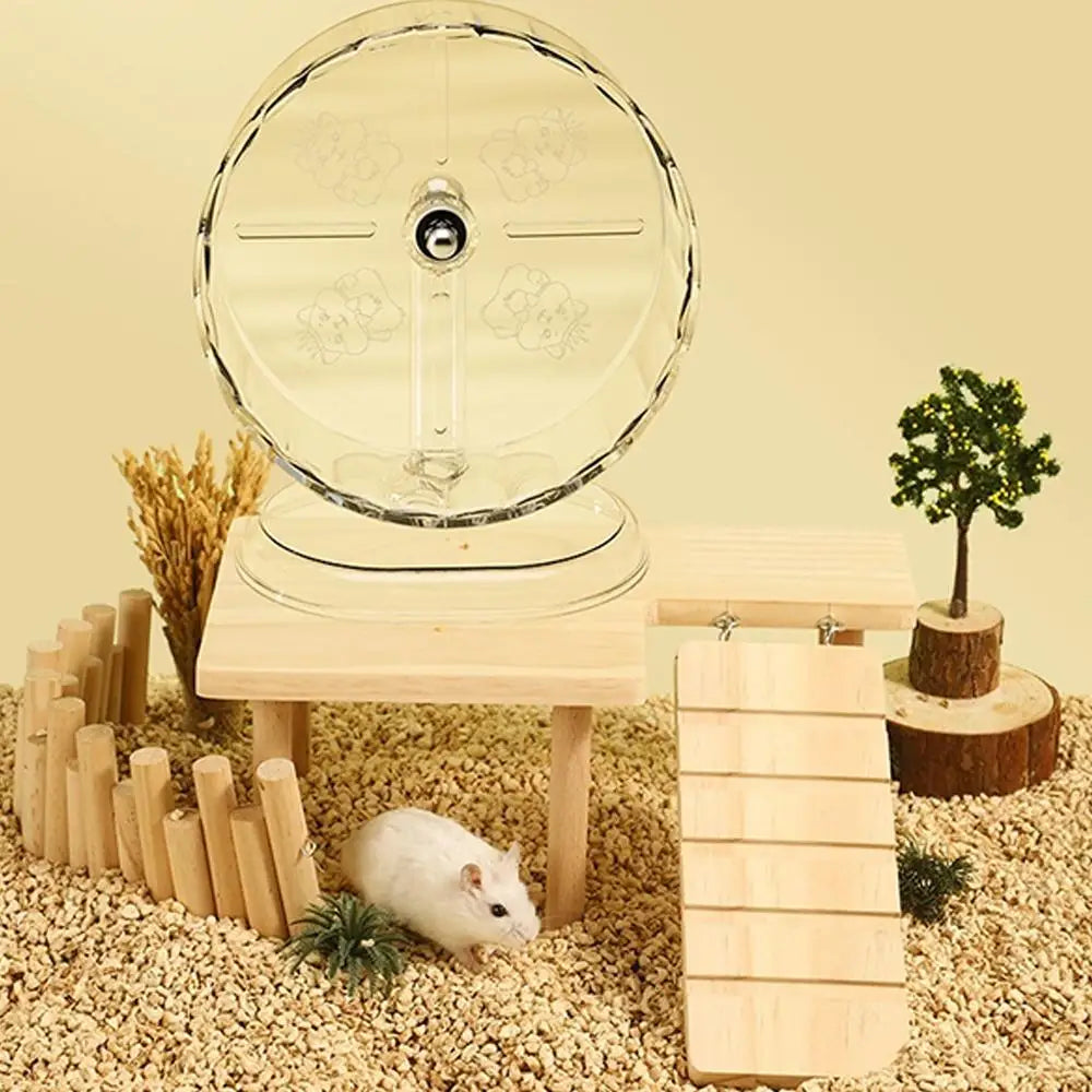 Silent Widened Transparent Running Wheel for Hamsters Small Pet Roller Bearing Support Toy Exercise Equipment for Rodents
