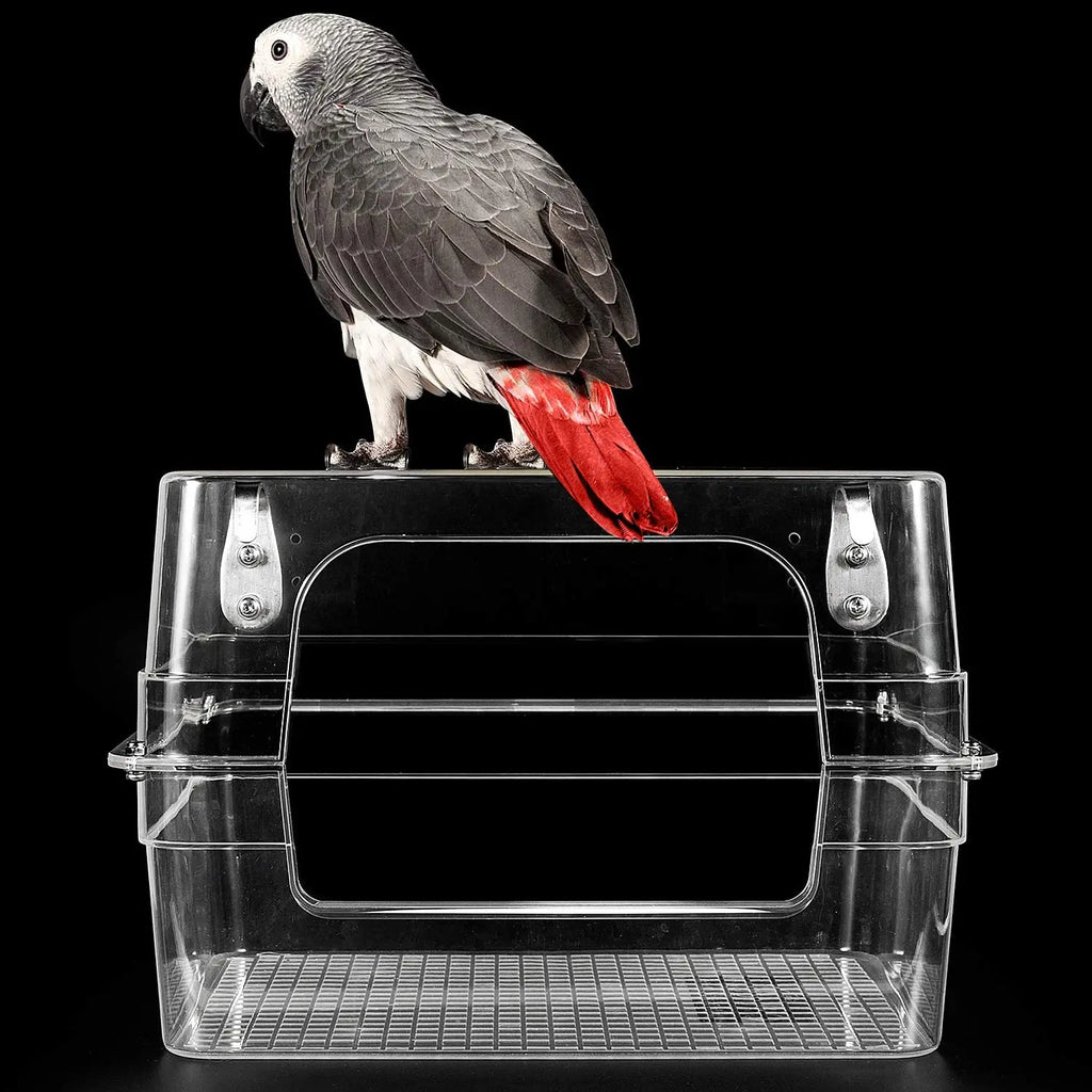Colorday Large Fully Transparent Bird Bath for Cage, Parrot Shower for Birds Bathtub Swimming Pool Box Supplies Accessories
