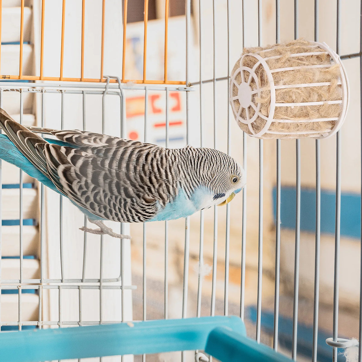 Nesting Material Pack Bird Accessories Easy Setup For Cages Mixed Hemp Silk Natural Nesting Options Reduces Nesting Waste