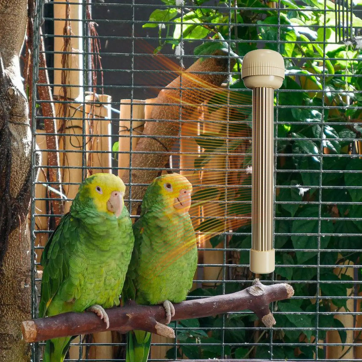 Auto Thermostat Heated Bird Perch Safe Warmer Stand with Anti Bite Design for Parakeets Conure Parrots Nighttime Winter Supplies
