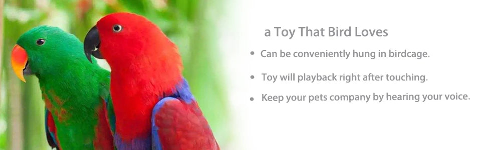 Parrot Toys to Teaching Training Bird Talking Coach Interactive Recording Playback Retell Electronic Voice Chewing Tearing  Bell