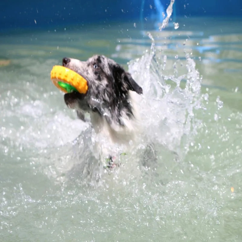 Floating Water Toy, Bite-Resistant Pet Ball for Dog Training, Dog Throwing Disc, Interactive Toy for Large