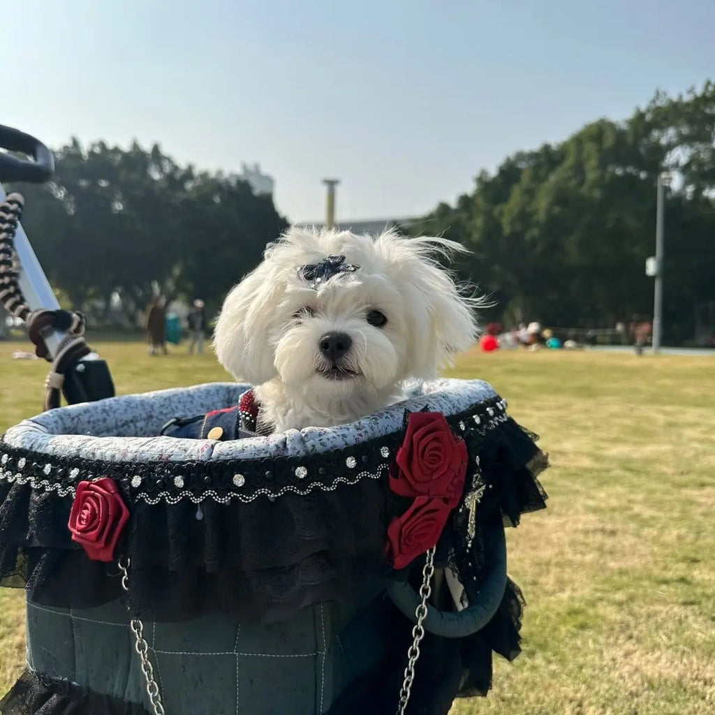 2026 SUMMER Pet Stroller with Complimentary MaT for Small 10 Lbs Dogs & Cats Lightweight Foldable Design One-clickFolding  Brake