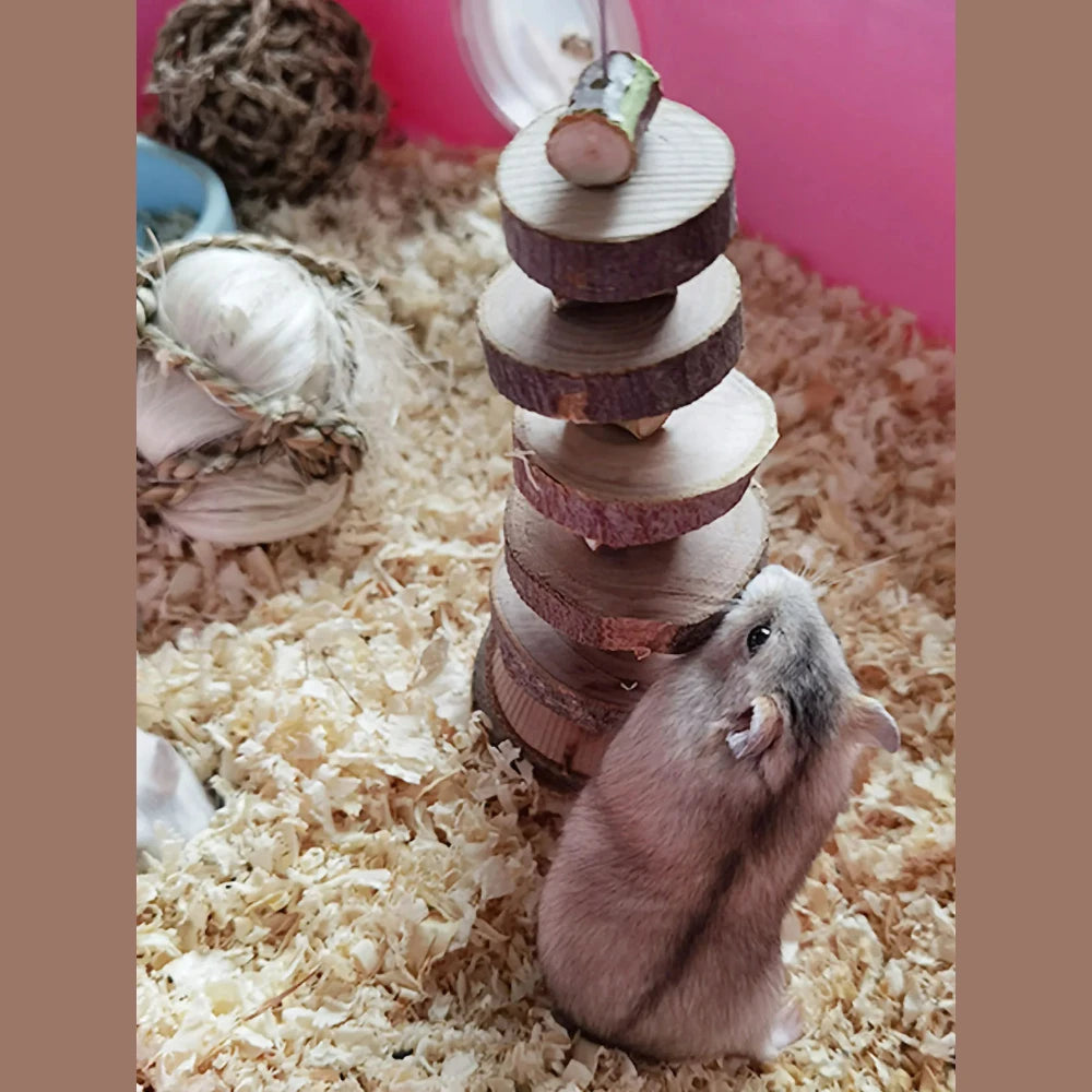 Cute Rabbit Roller Toys Natural Wooden Pine Dumbells Unicycle Bell Chew Toys For Guinea Pigs Rat Small Pet Molars Supplies