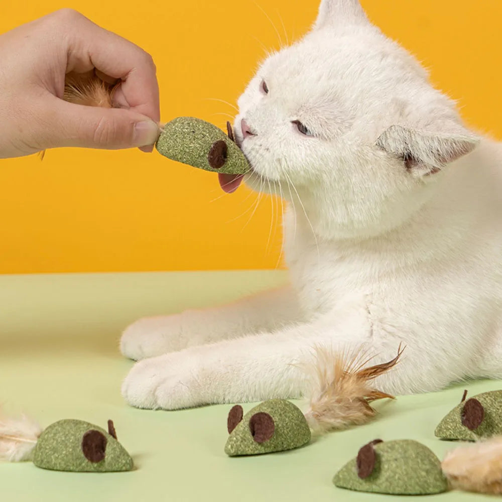 Mouse Cat Toys Catnip Feather Ball Self Cleaning Teeth Interactive Home Chasing Game Toy Products Cat Mint Ball Training Toys