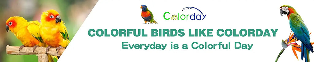 Colorday Large Fully Transparent Bird Bath for Cage, Parrot Shower for Birds Bathtub Swimming Pool Box Supplies Accessories