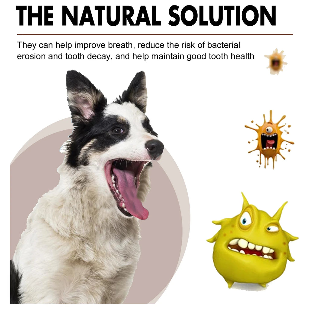 Pet Dental Care Spray for Dogs Cats Bad Breath Eliminator Hygiene Spray Tartar Plaque Control Fresh Breath Natural Formula 30ml