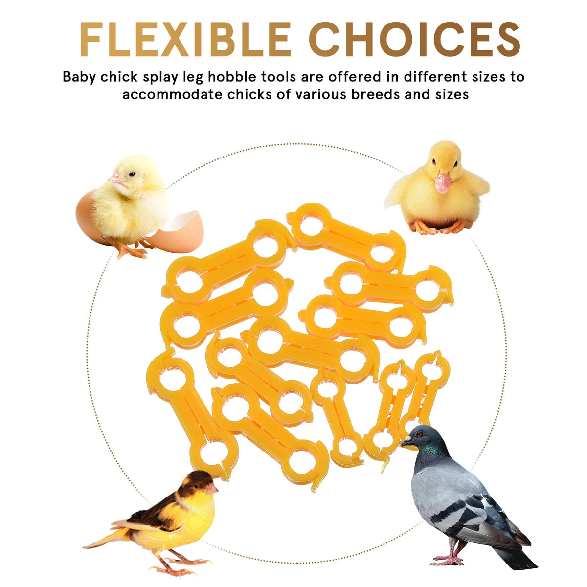 12Pcs Chick Leg Stabilizer Bird Corrector Chicken Leg Band Ring Supplies For Your Chickens Brace Pet Pvc Bands Foot Birds Baby