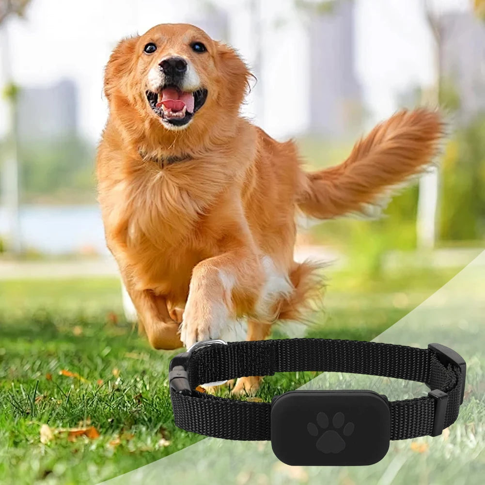 Pet GPS Tracker with Adjustable Collar Dog Tracker Smart Pet Locator for Dogs & Cats