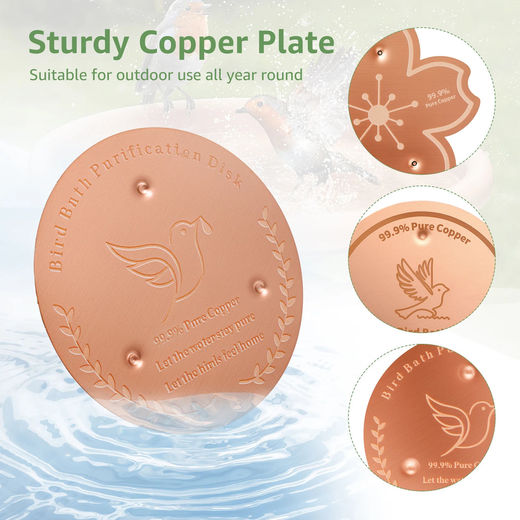 2/3Pcs Copper Bird Bath Purification Disk Garden Outdoor Feeder Tray Cleaner Bird Bath Water Fountain Fishpond Lawn