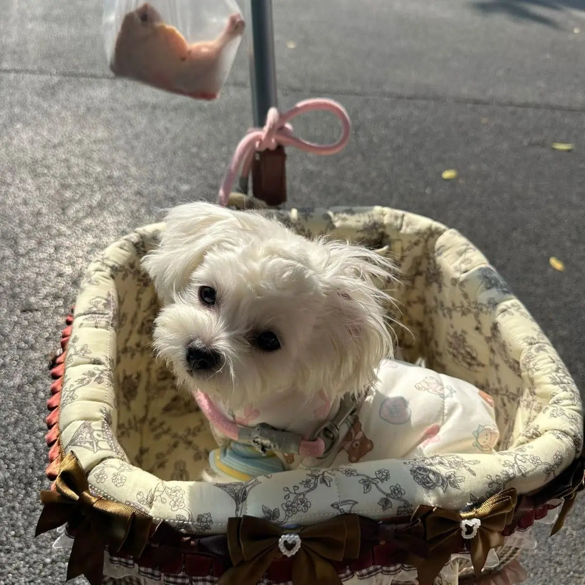 2026 SUMMER Pet Stroller with Complimentary MaT for Small 10 Lbs Dogs & Cats Lightweight Foldable Design One-clickFolding  Brake