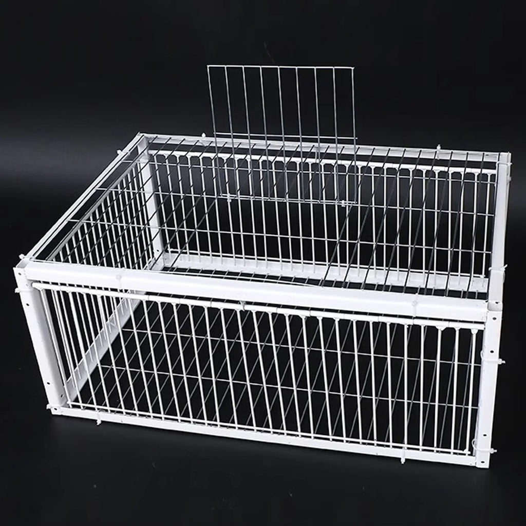 Bird Trap Cage Single Way Entry Portable Escape Proof Bird Animal Trap Cage Easy Assembly Versatile High Strength for Garden