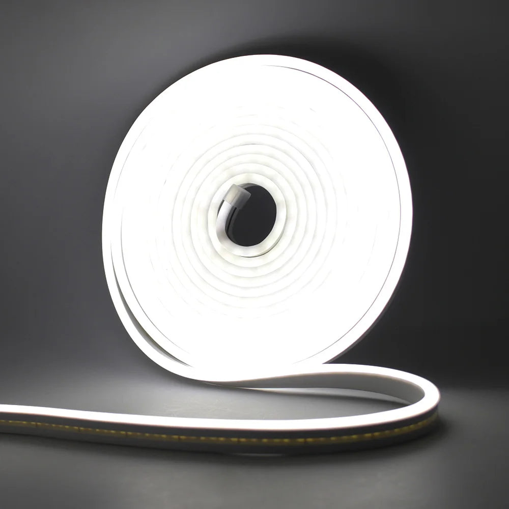 12V 24V LED Neon Light Strip Waterproof Neon Sign 6X12mm Silicone Rope Lights Flexible Lamp Decoration with DC Plug/2pin Wire
