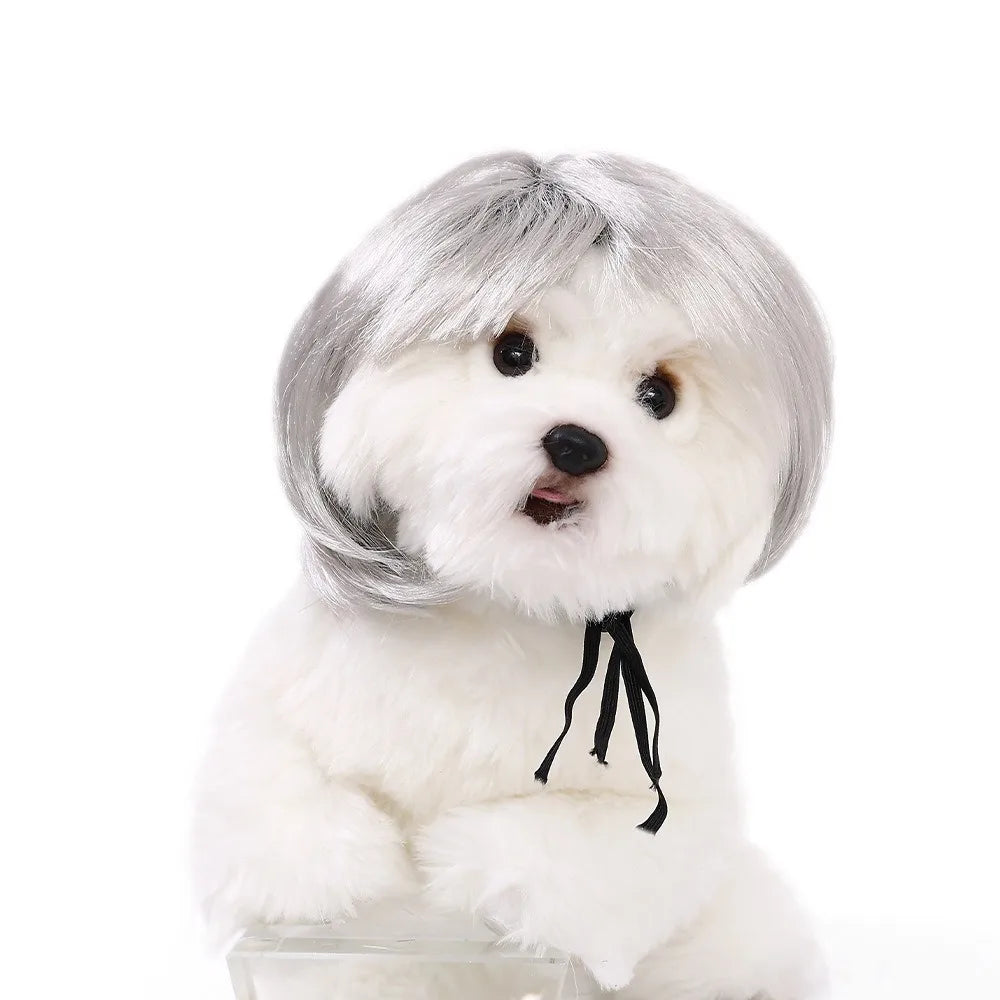 Cute Funny Pet Wig Adjustable Elastic Band Design Cat Wig Dog Wig Pet Cosplay Props Photography Prank Gifts