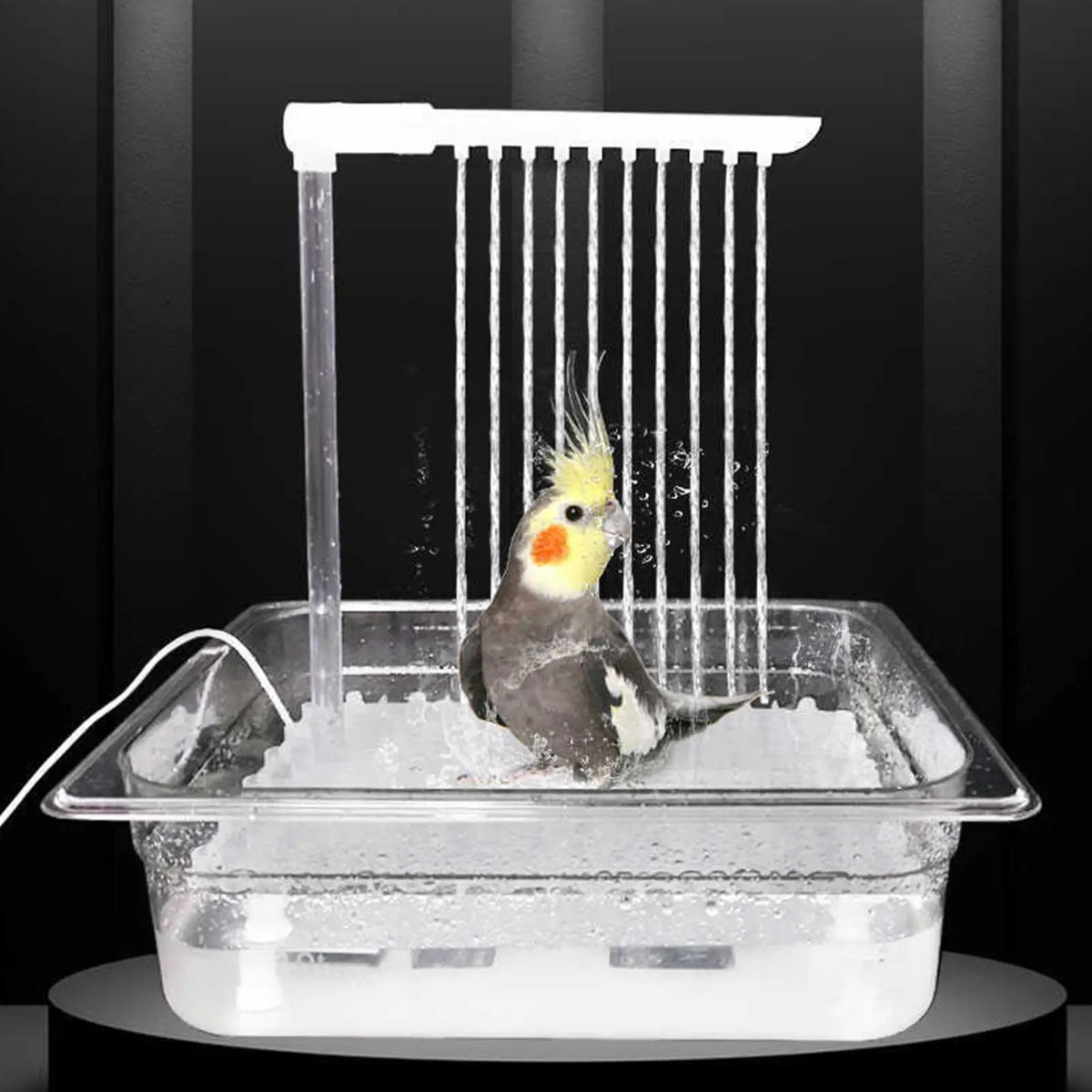 Automatic Bird Shower Tub Automatic Birdbath With Governor Bird Automatic Bathtub Swimming Pool For Small Pets Birds Parrots