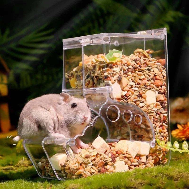 Hamster Food Feeder Automatic Transparent Large Capacity Acrylic Small Animal Food Dispenser for Guinea Pig Bird Rabbit