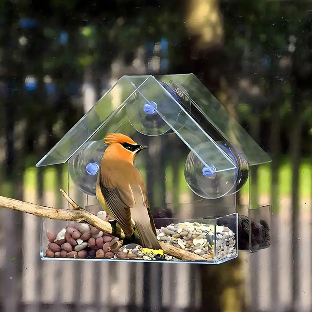 Acrylic Bird Feeder Clear Window Outside Hanging Bird Feeder House With Suction Cup For Garden Outdoor Backyard Patio Yard 1-5PC