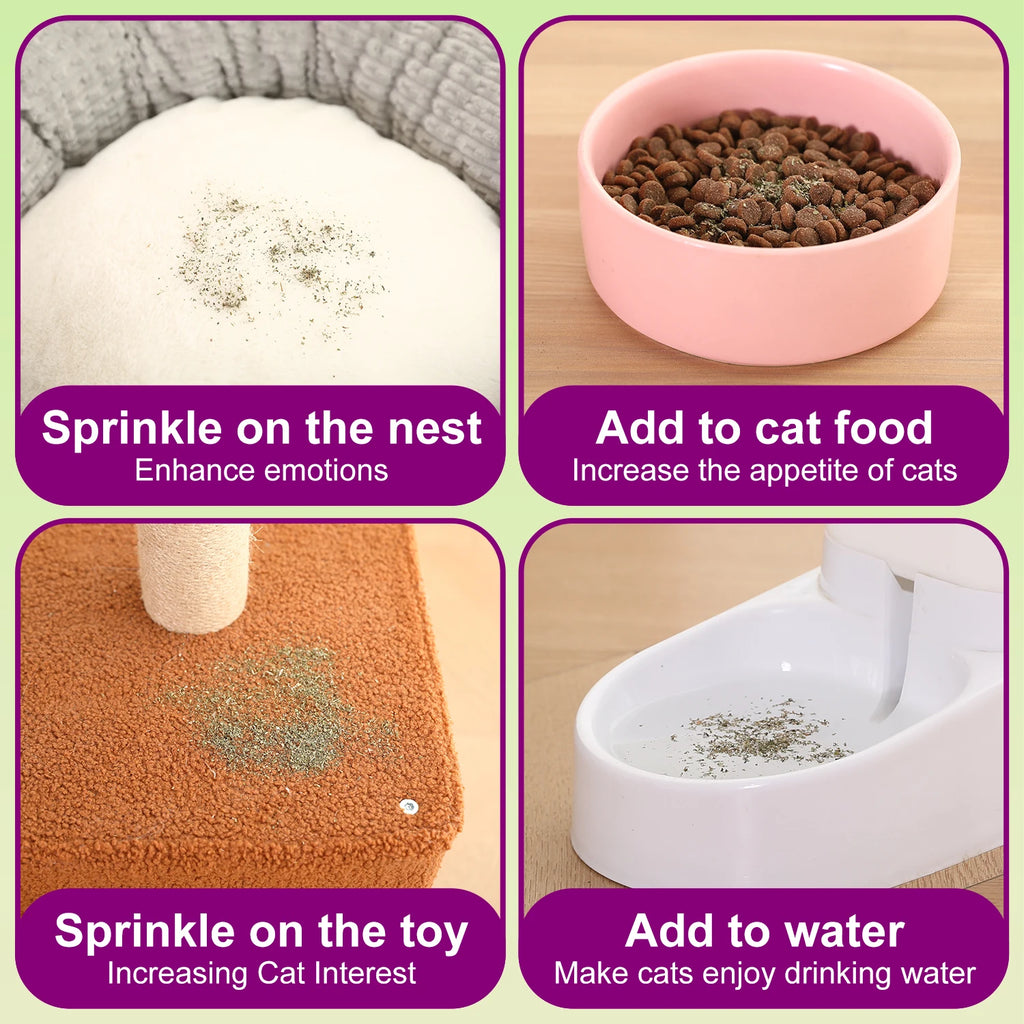 Silvervine Powder, More Attractive than Catnip for Cats, 100% Silver Vine Gall Fruit Powder, Silvervine Cat Toy for Indoor Cats