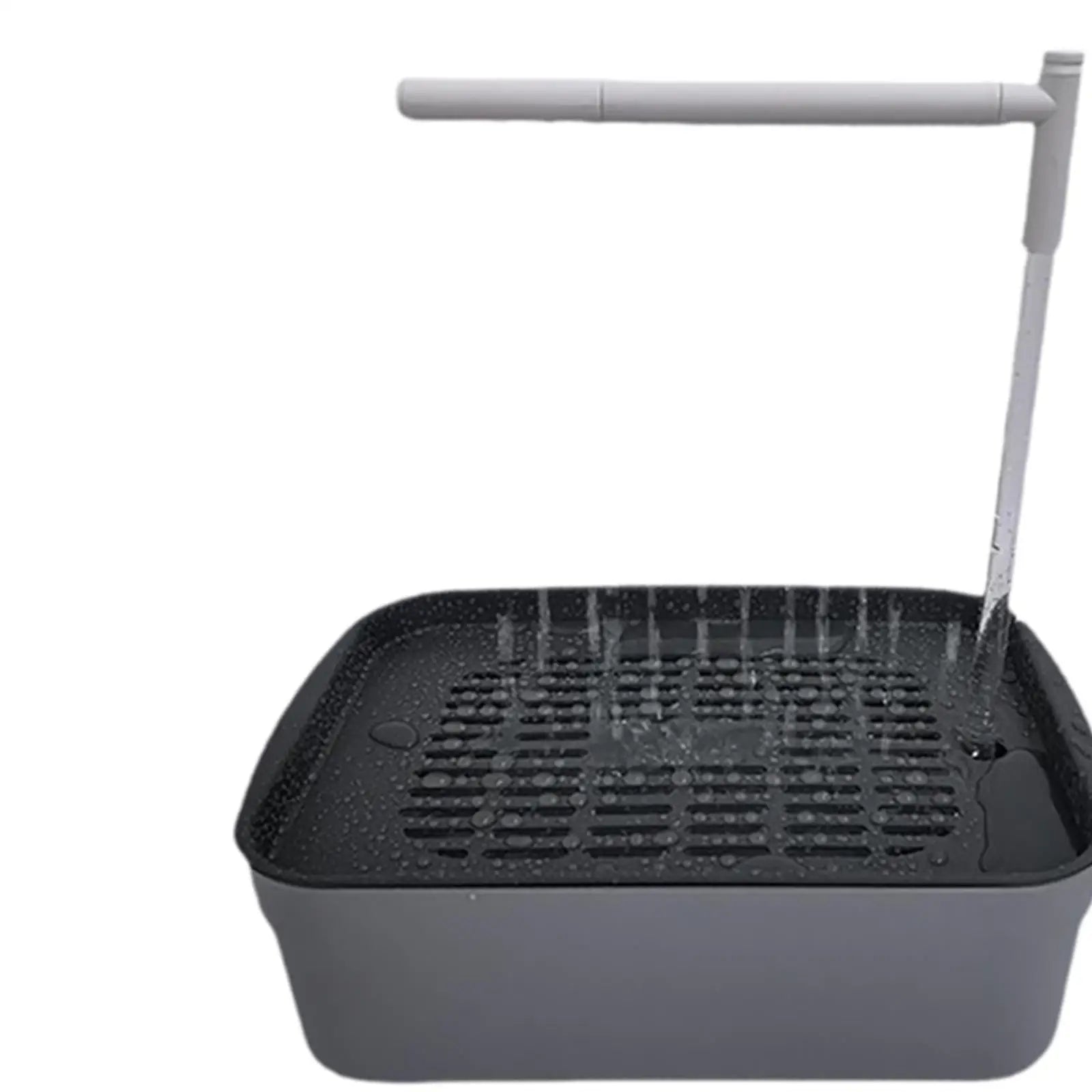 Automatic Bird Bath Tub with Running Water for African Grey Ferret Cockatiel