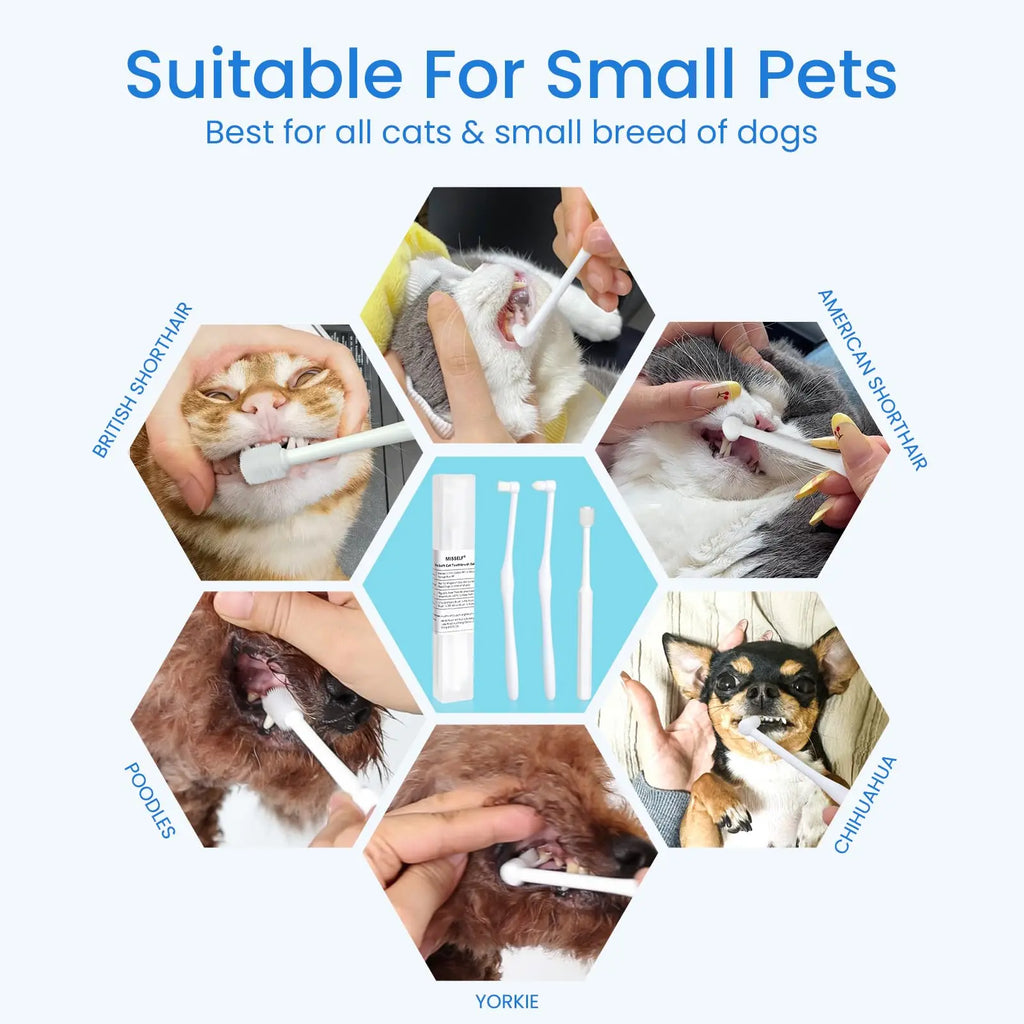 Ultra Soft Cat Toothbrushes, Toothbrushes for Small Dogs & Cats, 360° Silicone Kitten Tooth Brushes, Mini Head Pet Dental Care K
