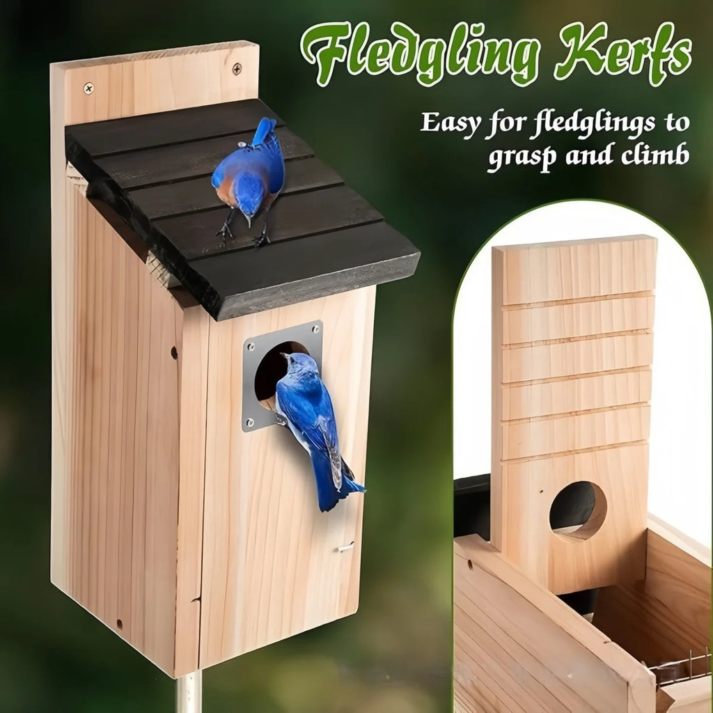 Bird Houses for Outside  Cedar Bird House Outdoor, Bluebird Finch Swallow Wren Chickadee Assembly Required