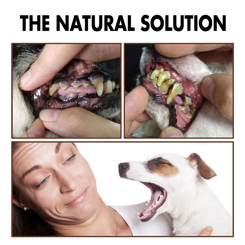 Pet Dental Care Spray for Dogs Cats Bad Breath Eliminator Hygiene Spray Tartar Plaque Control Fresh Breath Natural Formula 30ml