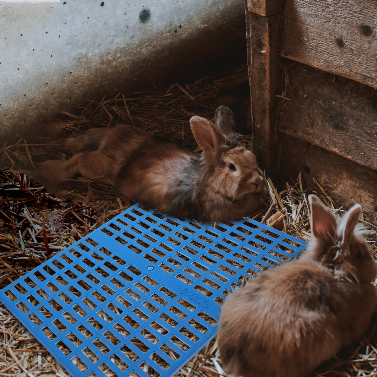 4Pcs Bunny Cage Mat Plastic Pet Foot Pads Rabbit Floor Mat Guinea Pig Cage Accessories Small Animal Foot Cushions