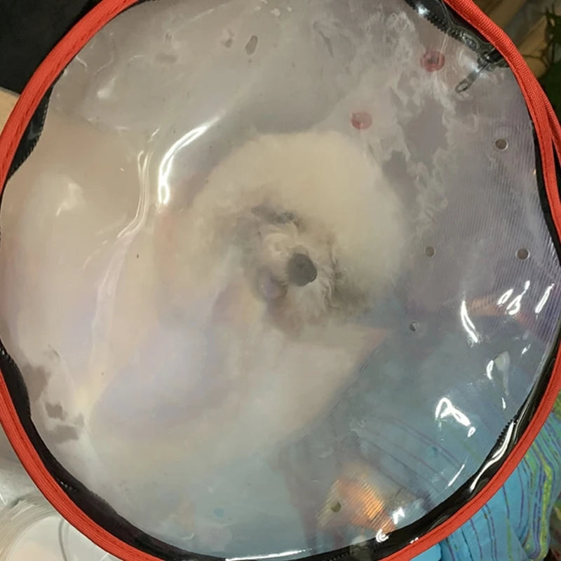 Pet Mask Dog Anesthesia Mask Transparent Kitten Muzzles Grooming Supplies Drop Shipping