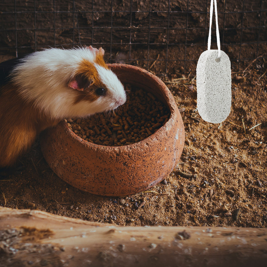 5Pcs Hamster Teeth Pumice Stone Bunny Molar Chew Toy Rabbit Volcanic Rock Chinchilla Grinding Pet Supply Bedding Litter